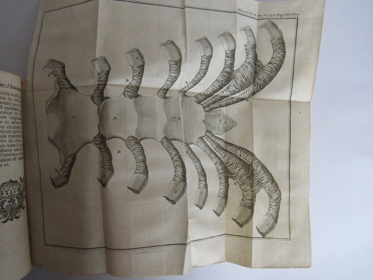 Histoire de l'Académie royale des sciences. Année 1748