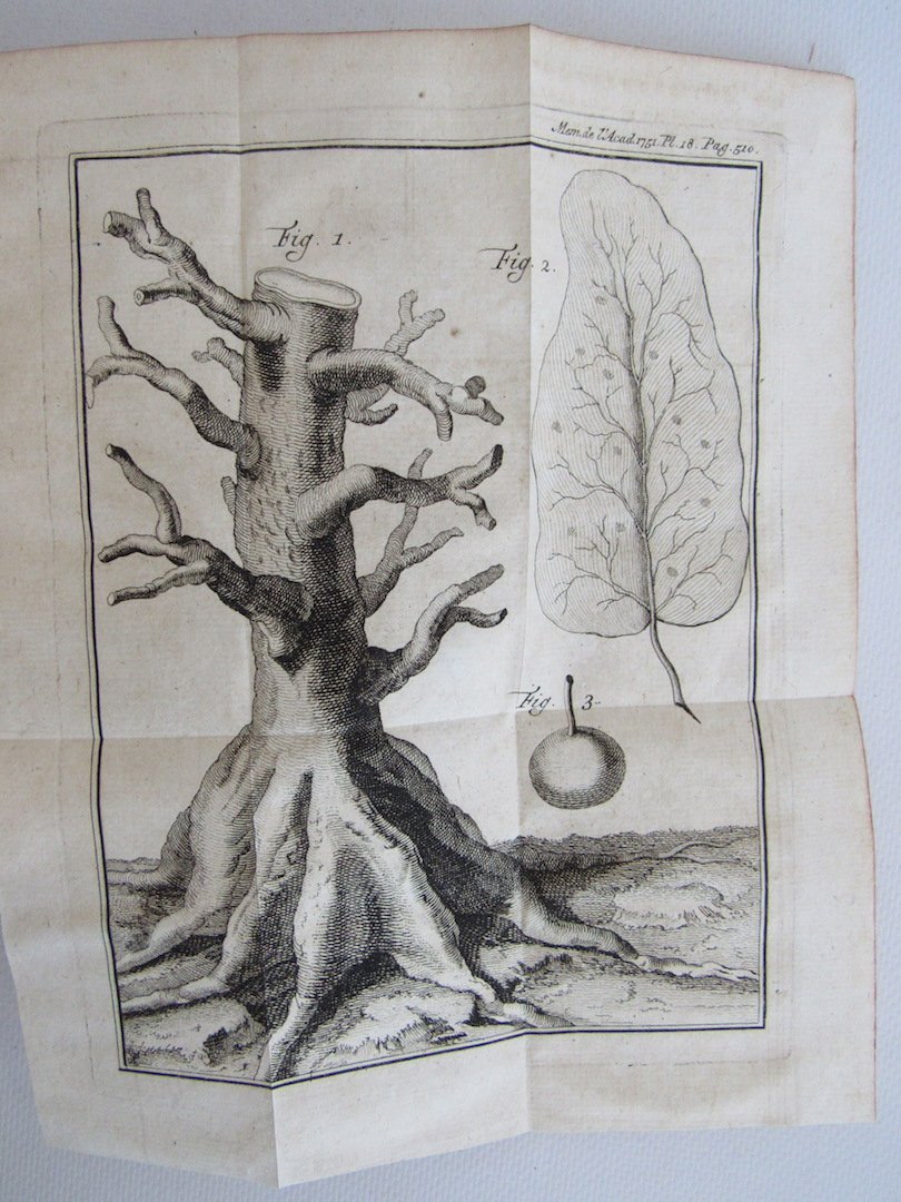 Histoire de l'Académie royale des sciences. Année 1751