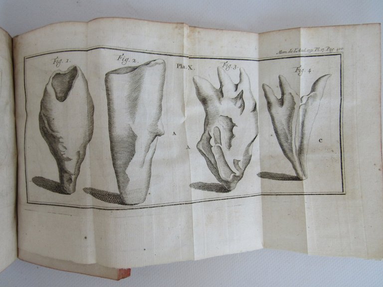 Histoire de l'Académie royale des sciences. Année 1751