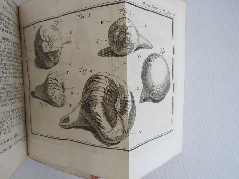 Histoire de l'Académie royale des sciences. Année 1751