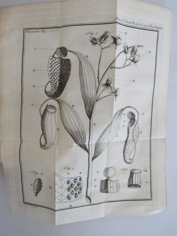 Histoire de l'Académie royale des sciences. Année 1751