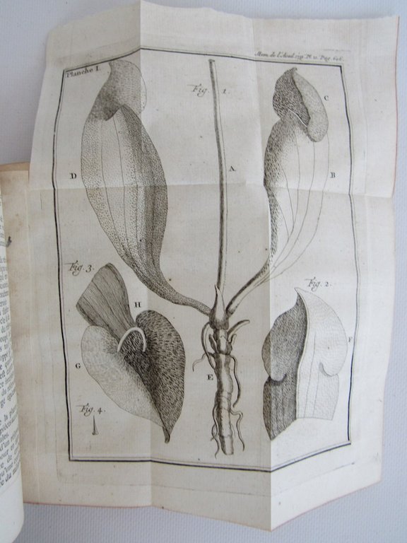 Histoire de l'Académie royale des sciences. Année 1751