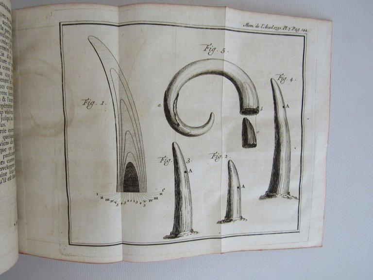 Histoire de l'Académie royale des sciences. Année 1751