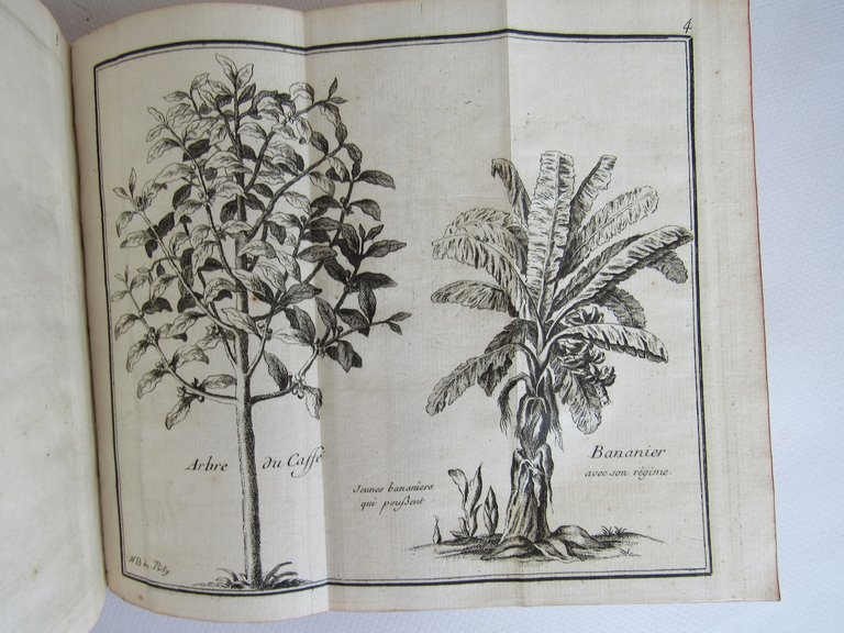 Histoire de la Jamaïque