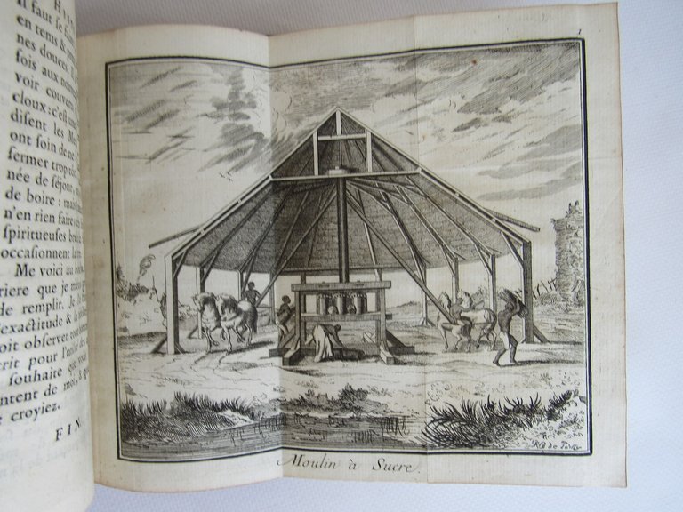 Histoire de la Jamaïque