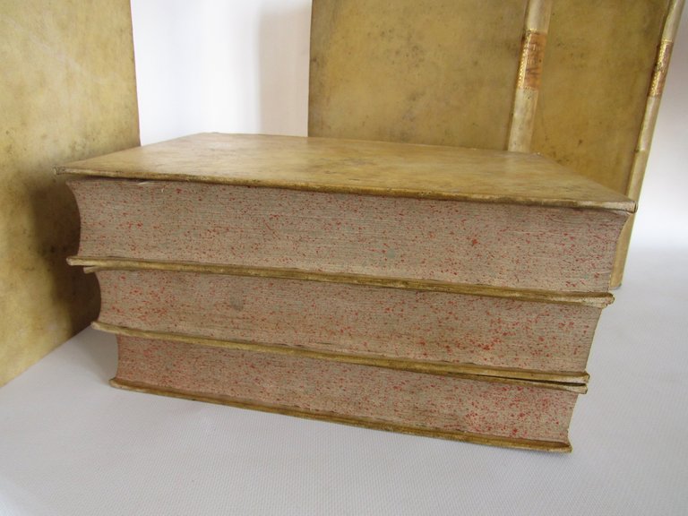 Histoire des empereurs, et des autres princes qui ont régné …