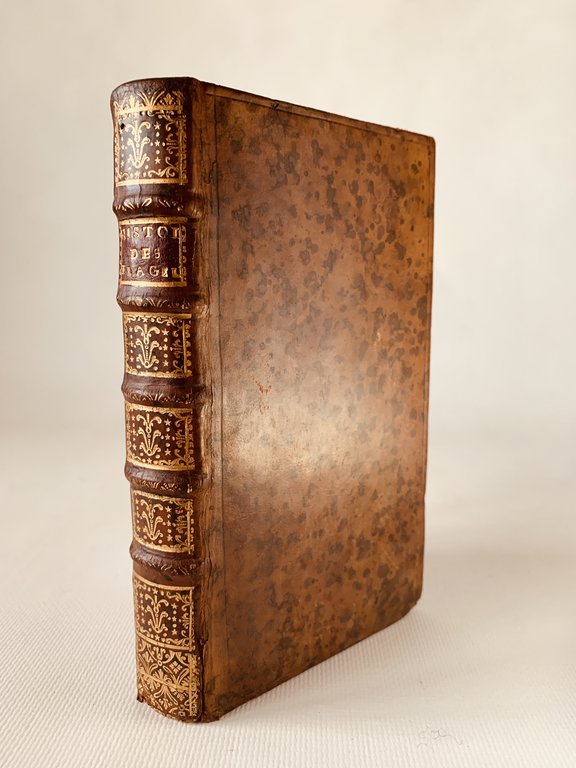 Histoire des flagellans