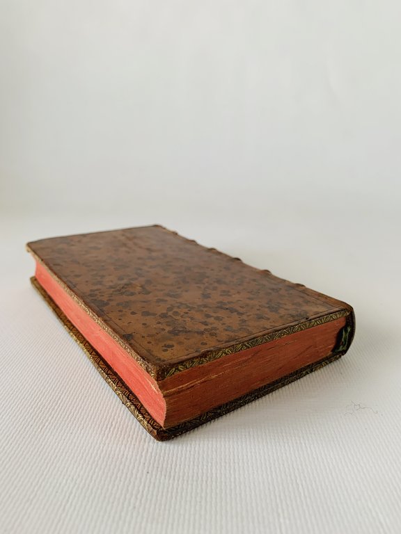 Histoire des flagellans