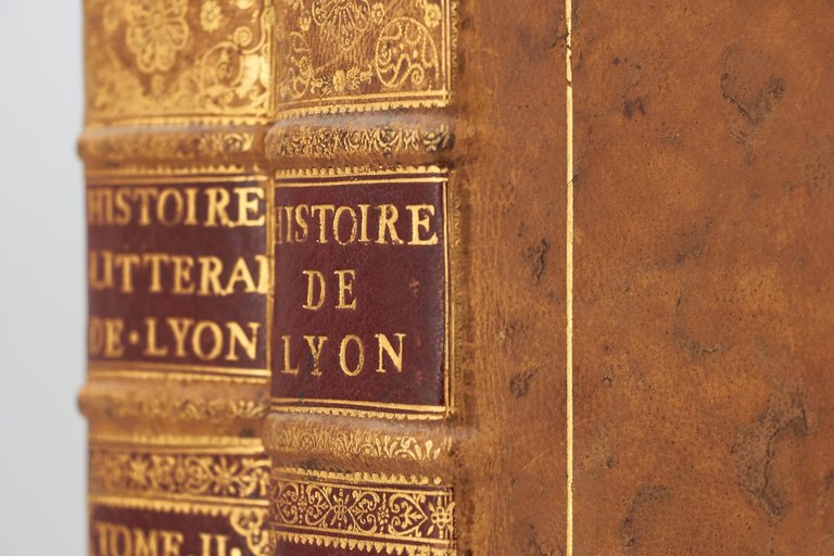 Histoire littéraire de la ville de Lyon avec une bibliothèque …