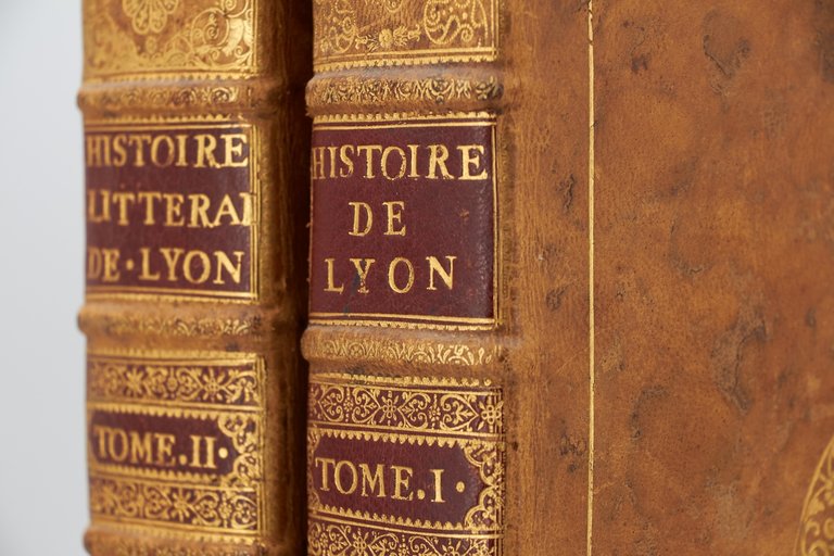 Histoire littéraire de la ville de Lyon avec une bibliothèque …