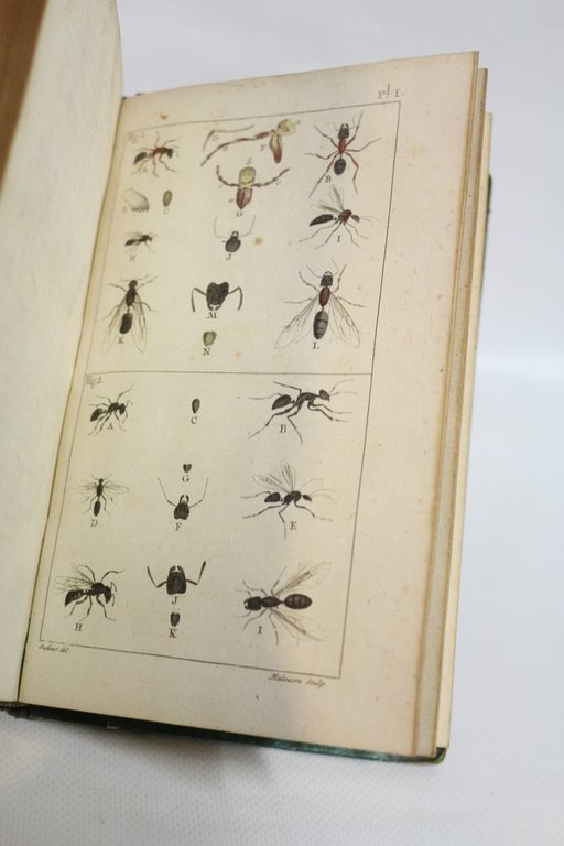 Histoire naturelle des fourmis, et recueil de mémoires et d'observations …
