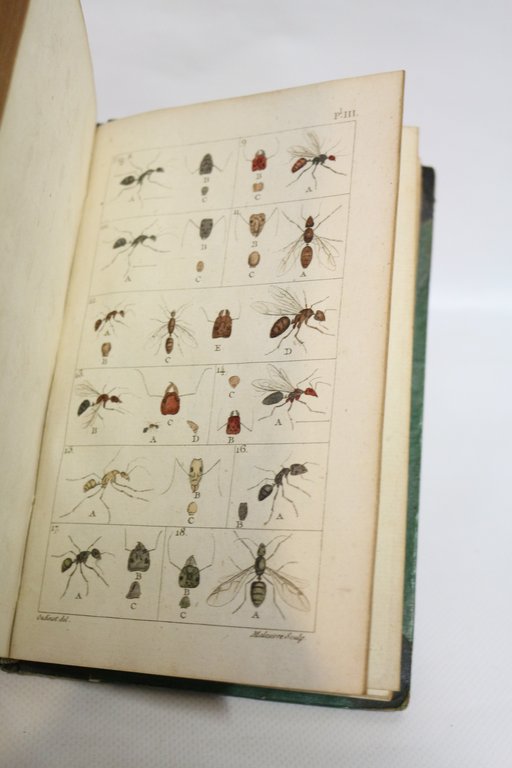 Histoire naturelle des fourmis, et recueil de mémoires et d'observations …