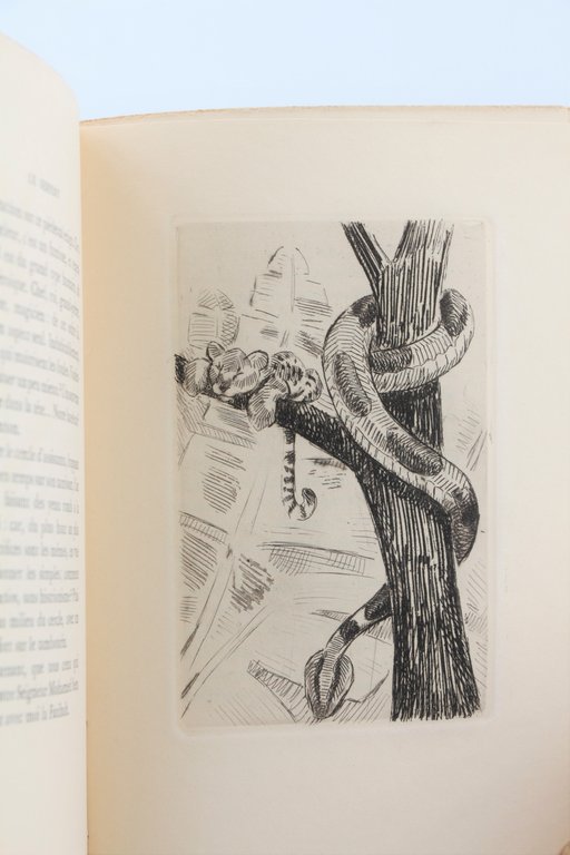 Histoire Naturelle imaginaire