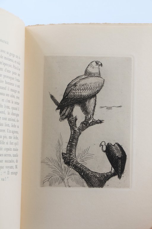 Histoire Naturelle imaginaire