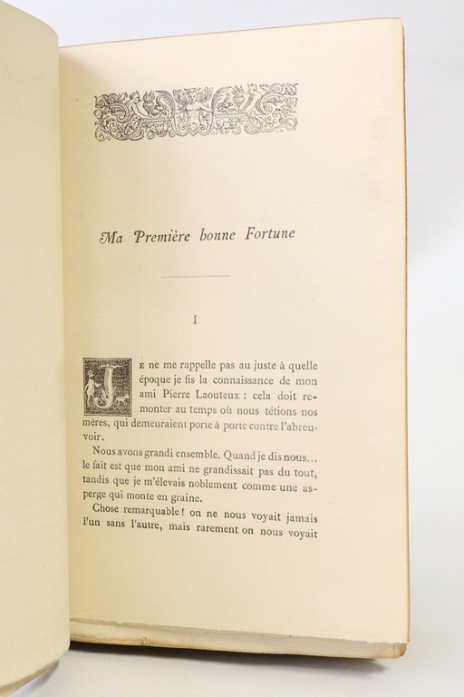 Histoires de petite ville. Contes et nouvelles