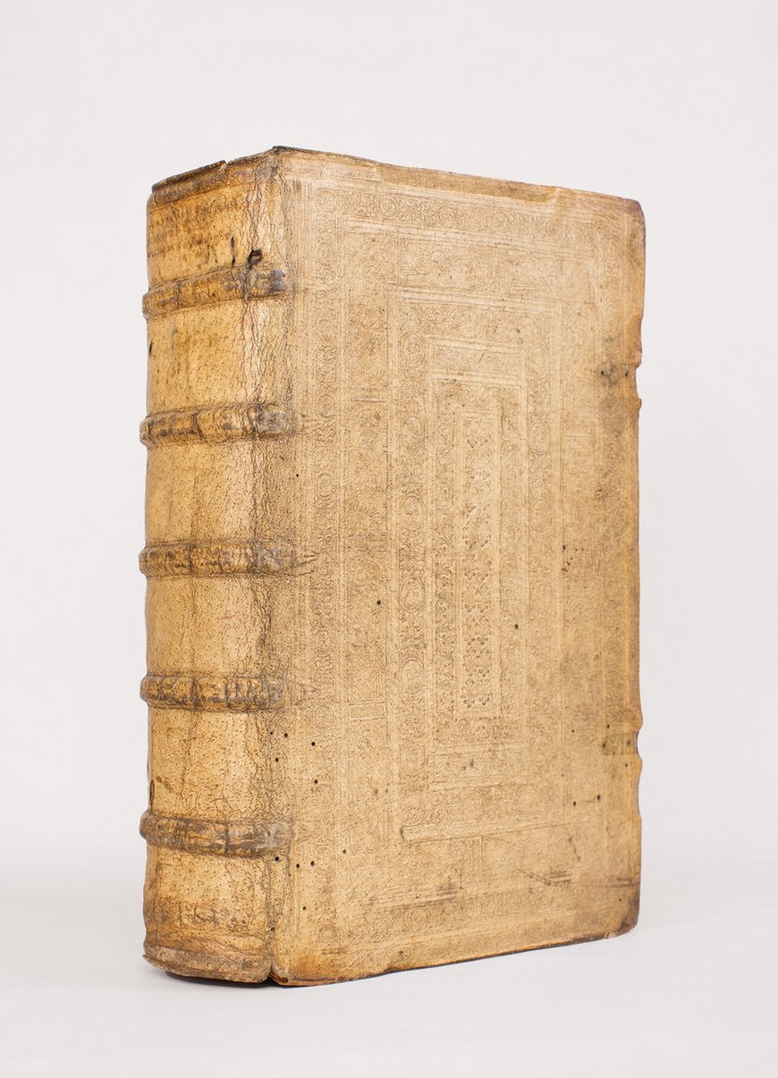 In libros paralipomenon, sive Chronicorum commentarius [Ensemble] Praelectiones Iannis Calvini …