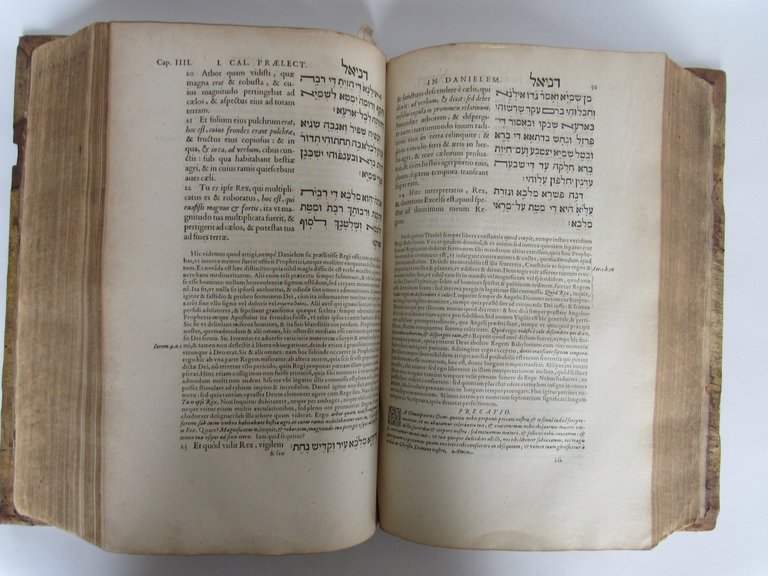 In libros paralipomenon, sive Chronicorum commentarius [Ensemble] Praelectiones Iannis Calvini …