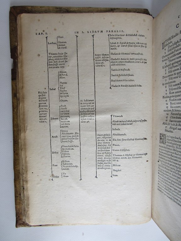 In libros paralipomenon, sive Chronicorum commentarius [Ensemble] Praelectiones Iannis Calvini …