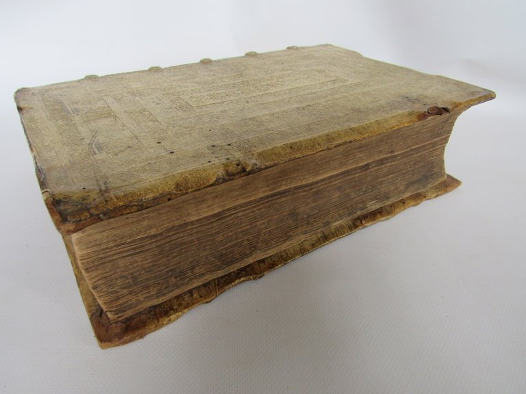 In libros paralipomenon, sive Chronicorum commentarius [Ensemble] Praelectiones Iannis Calvini …