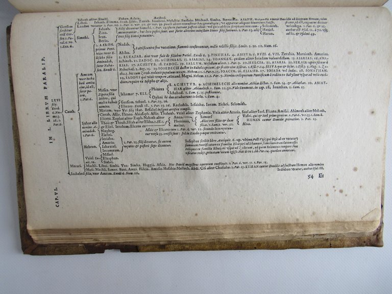 In libros paralipomenon, sive Chronicorum commentarius [Ensemble] Praelectiones Iannis Calvini …