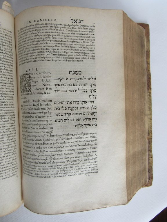 In libros paralipomenon, sive Chronicorum commentarius [Ensemble] Praelectiones Iannis Calvini …