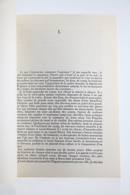 J'ai vécu chez les Tsiganes