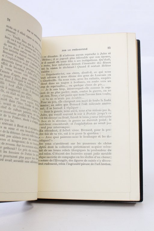 Job le prédestiné