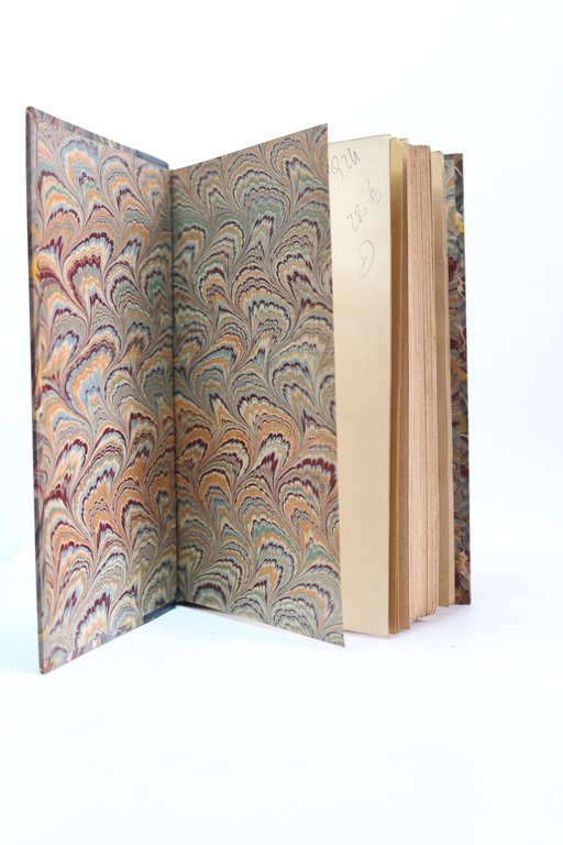 Jocaste et le chat maigre