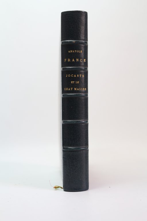 Jocaste et le chat maigre