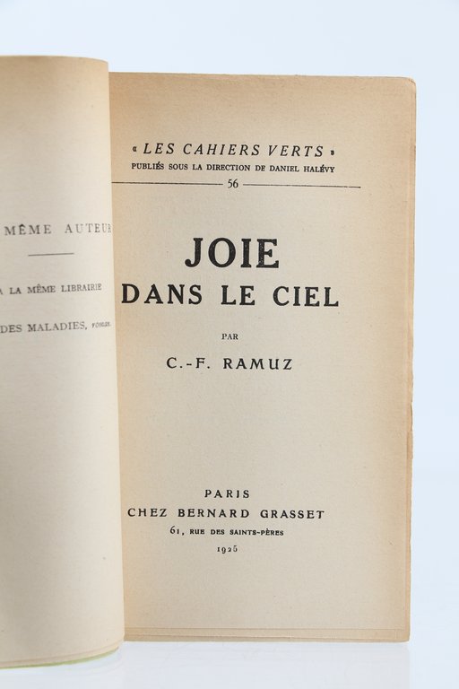 Joie dans le ciel