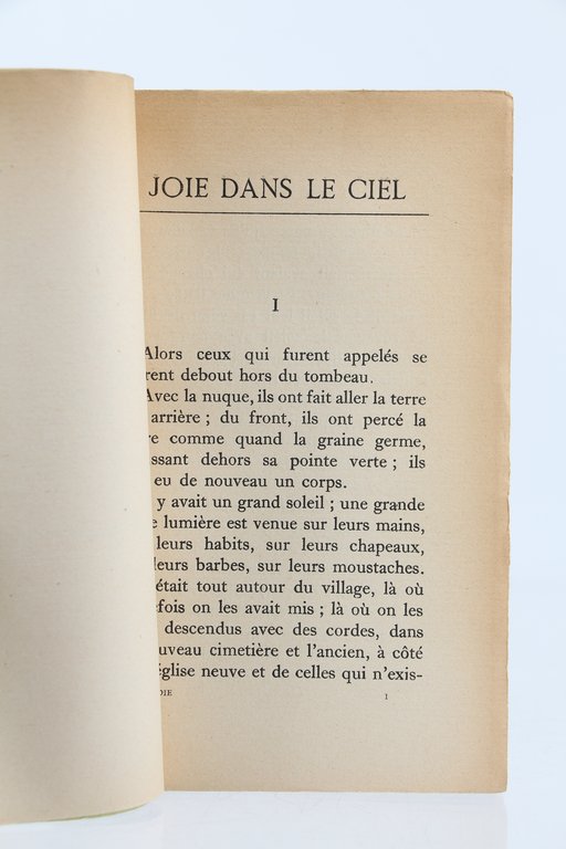 Joie dans le ciel