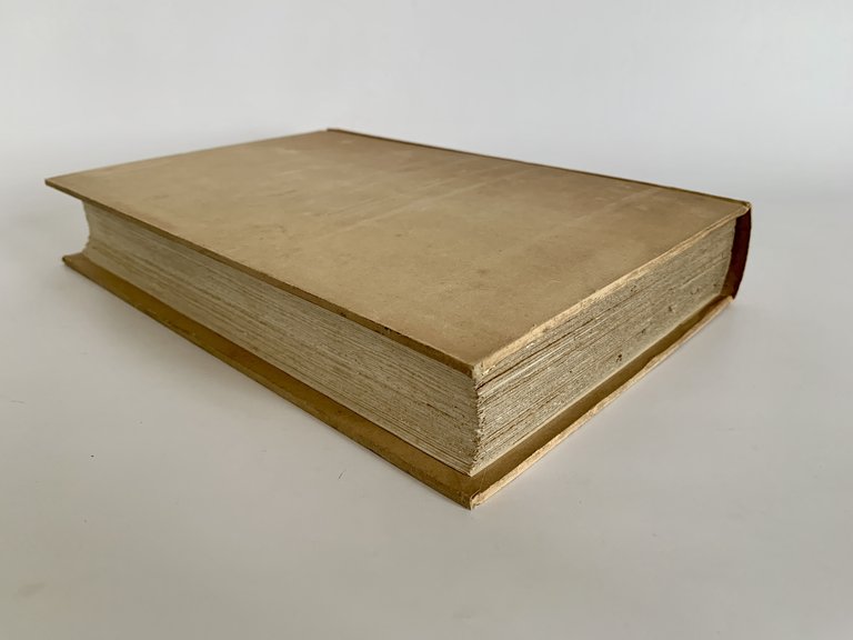 Journal de l'expédition des portes de fer