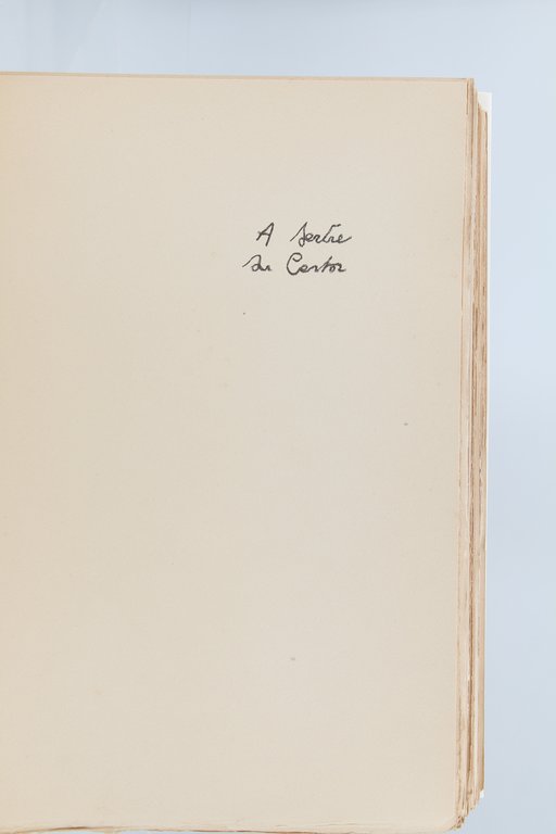 Journal du Voleur