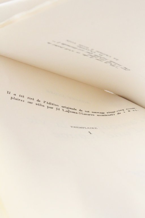 L'amour et la vie d'une femme