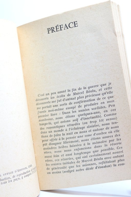 L'araignée d'eau