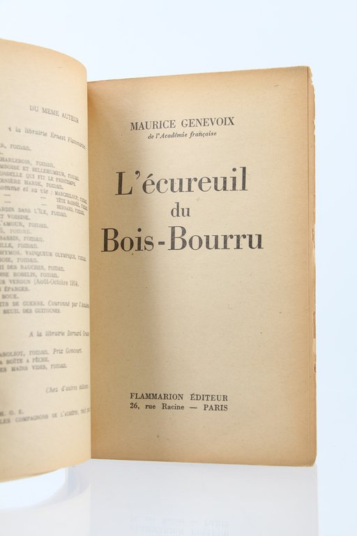 L'Ecureuil du Bois-bourru