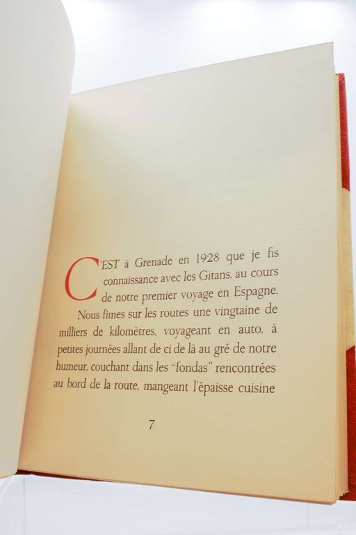 L'Espagne et ses gitans