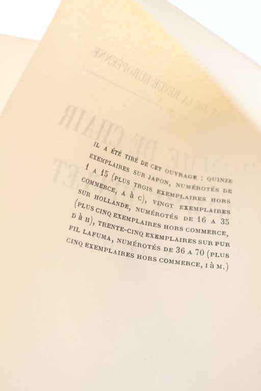 L'homme de chair et l'homme reflet