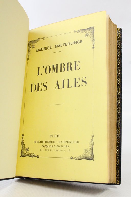 L'ombre des ailes