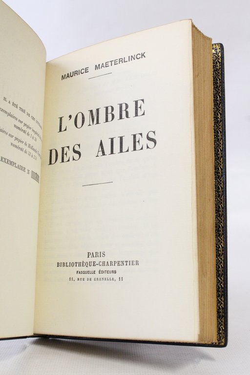 L'ombre des ailes