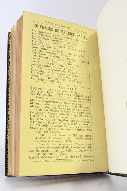 L'ombre des ailes