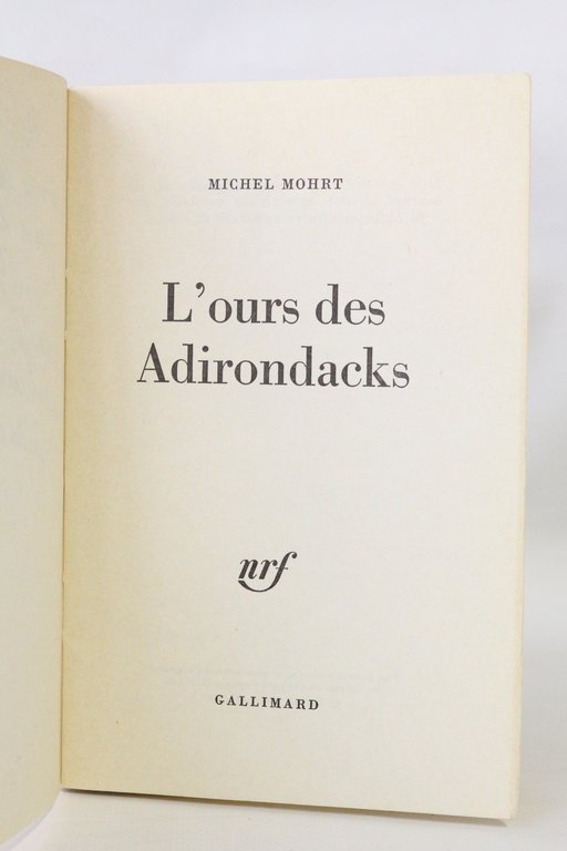 L'ours des Adirondacks