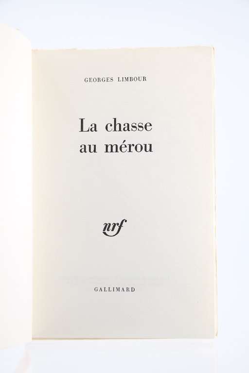 La chasse au mérou