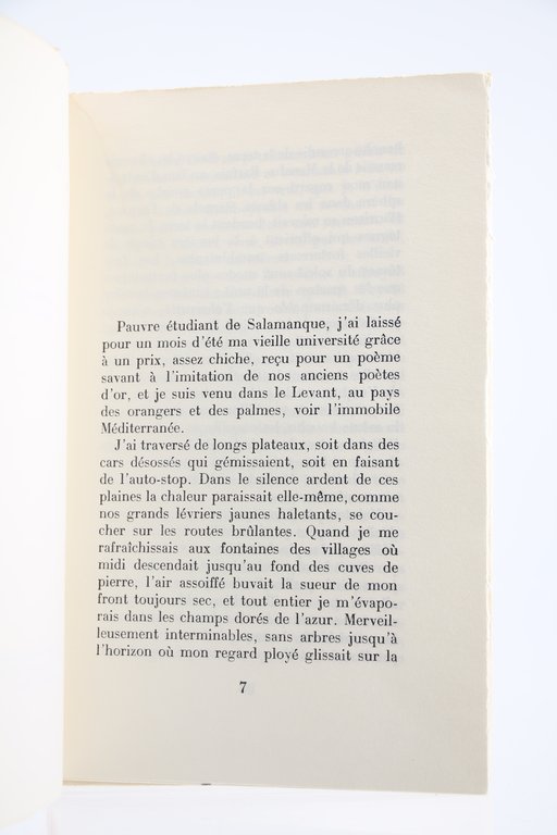 La chasse au mérou