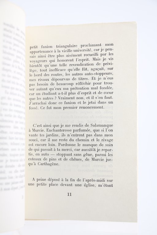 La chasse au mérou