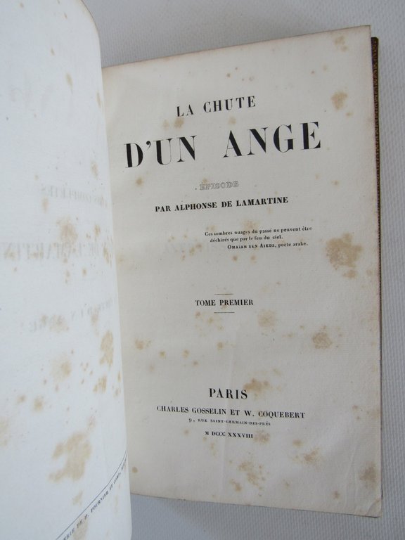 La chute d'un ange
