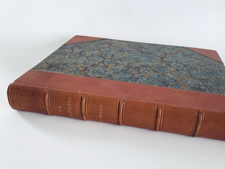 La Dauphine Marie-Antoinette