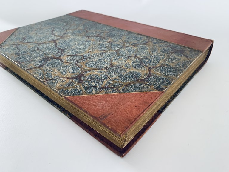 La Dauphine Marie-Antoinette