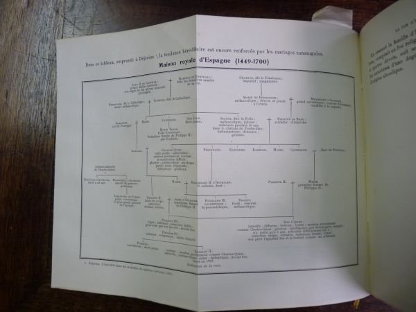 La folie de Jésus, son hérédité, sa constitution, sa physiologie …