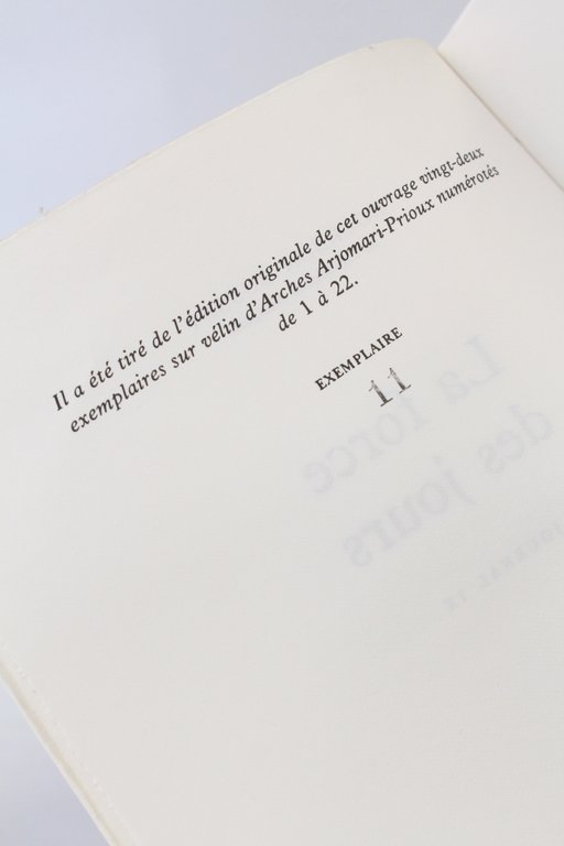 La force des jours. Journal IX